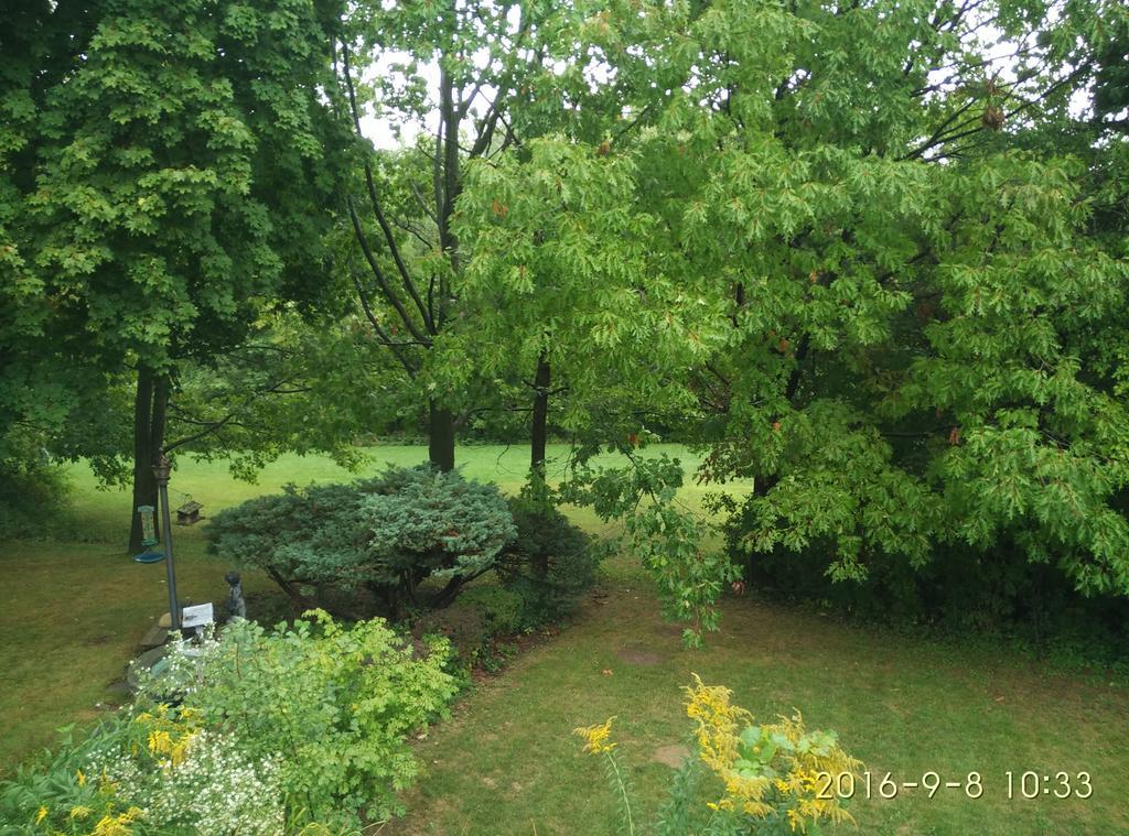多伦多邓肯公园民宿 Toronto Duncan Park Guesthouse מראה חיצוני תמונה